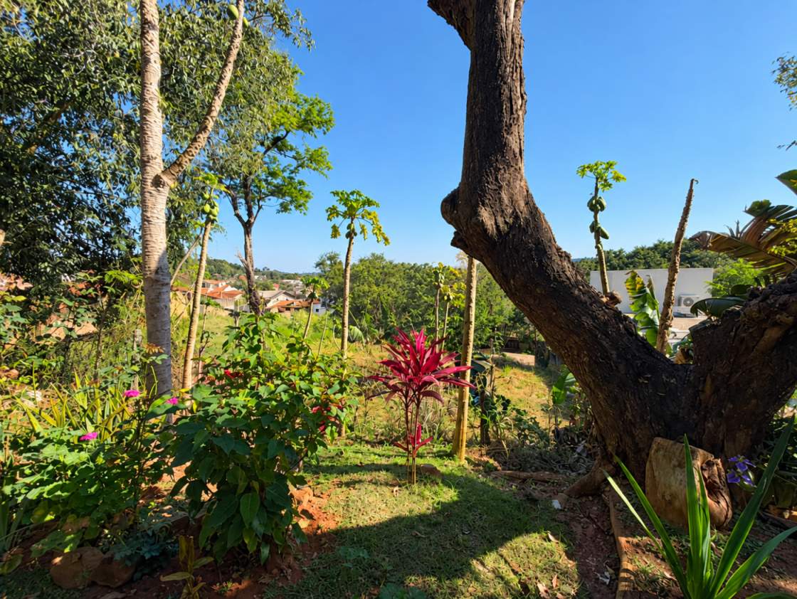 Terreno, 382 m² - Foto 5