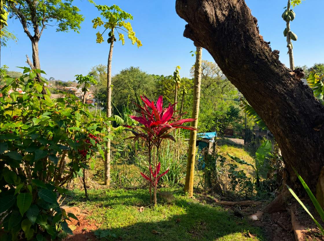 Terreno, 382 m² - Foto 6